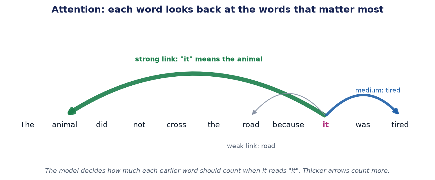 The sentence The animal did not cross the road because it was tired. From the word it, a thick green arrow points to animal, a medium blue arrow to tired, and a thin grey arrow to road.