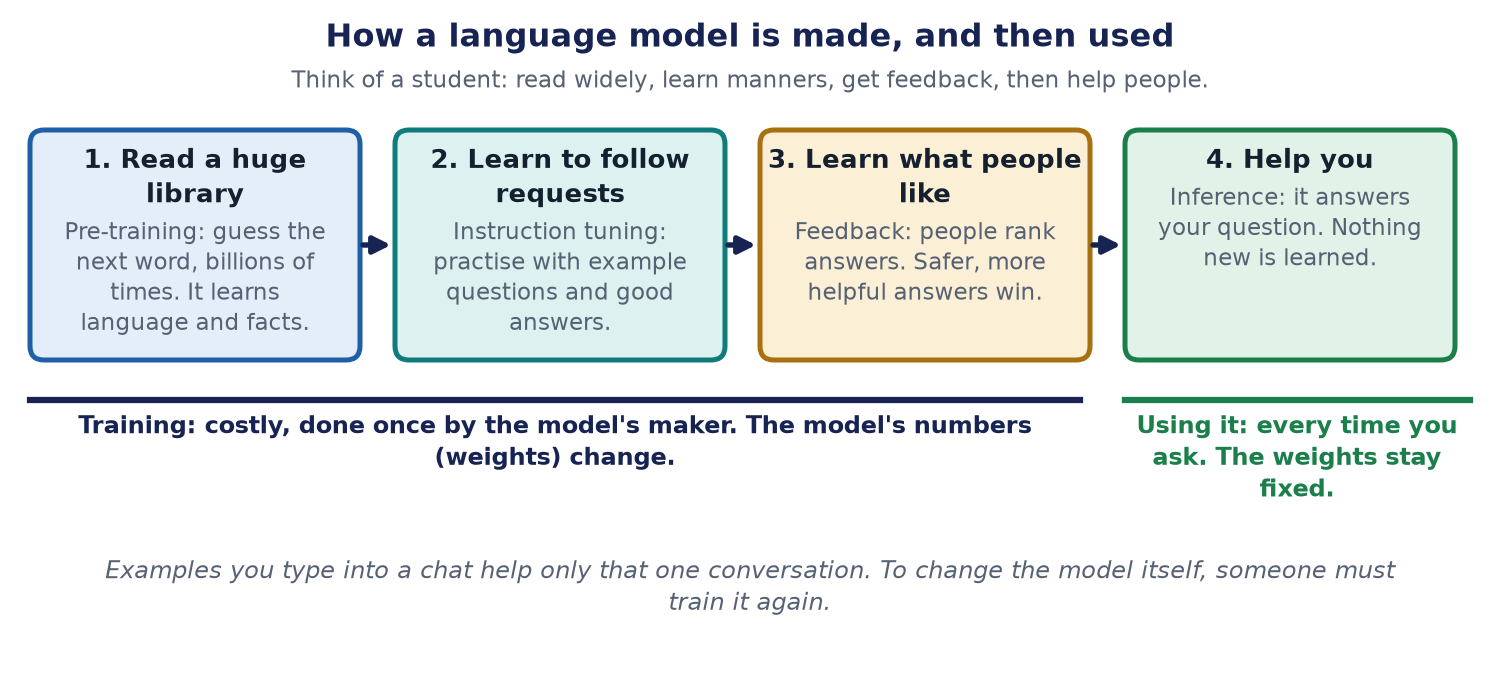 Four steps in a row: read a huge library, learn to follow requests, learn what people like, then help you. A line under the first three says training is costly and changes the model's numbers. A line under the last says using it does not change the weights.